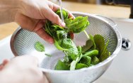 рецепт Как хранить зелень свежей в домашних условиях