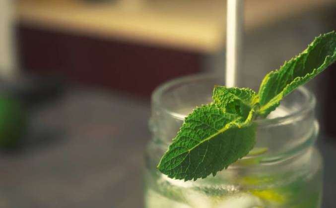 Безалкогольный мохито: рецепт приготовления освежающего летнего напитка
