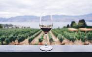 рецепт Какие виды вина бывают, как создают вино
