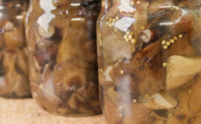 Маринованные грибы опята рецепт
