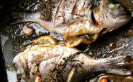 рецепт Запеченная рыба дорада в духовке