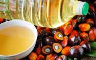 рецепт Пальмовое масло вред и польза для человека в продуктах